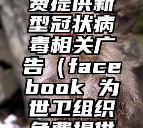 Facebook 为世卫组织免费提供新型冠状病毒相关广告（facebook 为世卫组织免费提供新型冠状病毒相关广告）