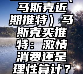 难以置信（马斯克近期推特）马斯克买推特：激情消费还是理性算计？，