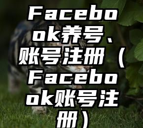 Facebook养号、账号注册（Facebook账号注册）