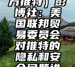 这样也行？（联合国官方推特）彭博社：美国联邦贸易委员会对推特的隐私和安全问题进行更深入审查，