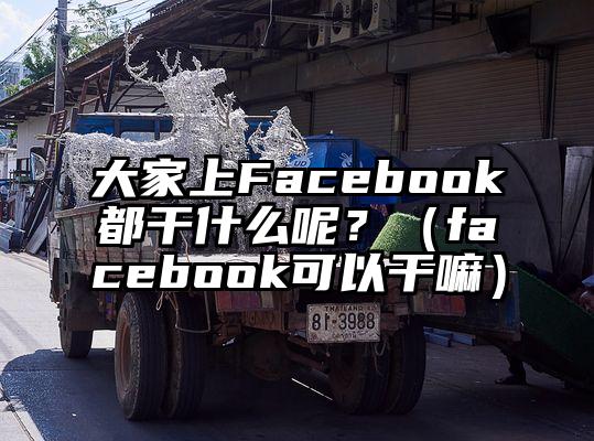 大家上Facebook都干什么呢？（facebook可以干嘛）