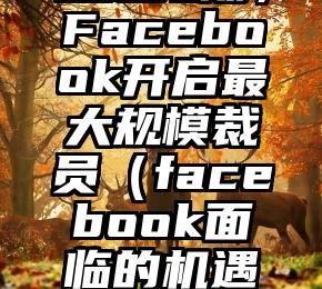 远超预期，Facebook开启最大规模裁员（facebook面临的机遇和威胁）