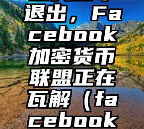 四家支付巨头宣布退出，Facebook加密货币联盟正在瓦解（facebook加密货币价格）