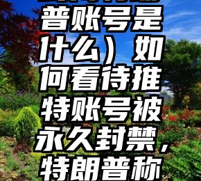 全程干货（推特永久封闭特朗普账号是什么）如何看待推特账号被永久封禁，特朗普称将建立自己的平台？，