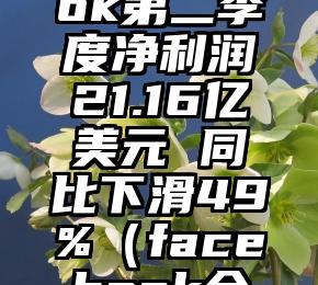 Facebook第二季度净利润21.16亿美元 同比下滑49%（facebook全年营收）