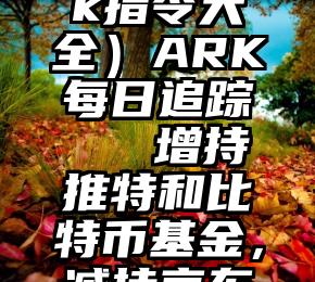 速看（ark指令大全）ARK每日追踪   增持推特和比特币基金，减持京东拼多多，