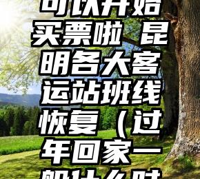 回家过年可以开始买票啦 昆明各大客运站班线恢复（过年回家一般什么时候订票）