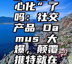 速看（去中心化玩法）今天你“去中心化”了吗：社交产品 Damus 大爆，颠覆推特就在眼前？造电动车，可以是一门「艺术」，