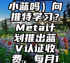 这都可以（推特就是小蓝吗）向推特学习？Meta计划推出蓝V认证收费，每月14.99美元，