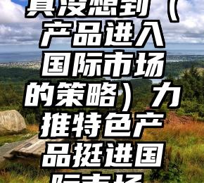 真没想到（产品进入国际市场的策略）力推特色产品挺进国际市场，