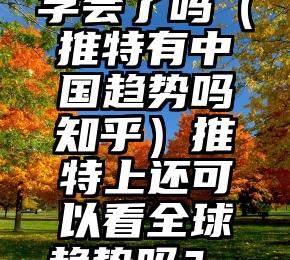 学会了吗（推特有中国趋势吗知乎）推特上还可以看全球趋势吗？，