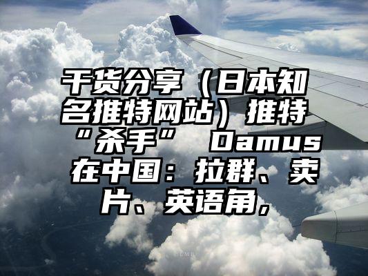 干货分享（日本知名推特网站）推特“杀手” Damus 在中国：拉群、卖片、英语角，