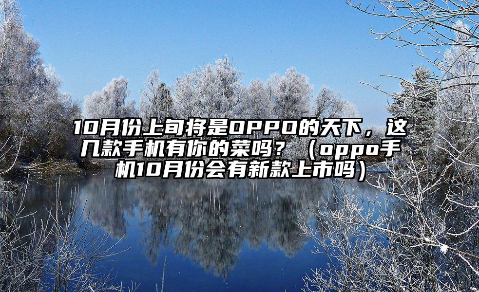 10月份上旬将是OPPO的天下，这几款手机有你的菜吗？（oppo手机10月份会有新款上市吗）