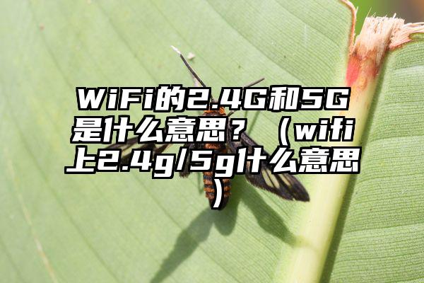 WiFi的2.4G和5G是什么意思？（wifi上2.4g/5g什么意思）