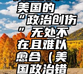 美媒文章：美国的“政治创伤”无处不在且难以愈合（美国政治错误）