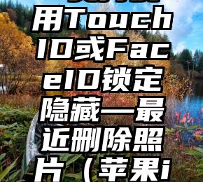 苹果iOS16支持使用TouchID或FaceID锁定隐藏—最近删除照片（苹果ios16支持哪些机型）