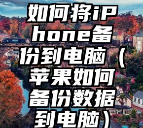 如何将iPhone备份到电脑（苹果如何备份数据到电脑）