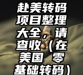 赴美转码项目整理大全，请查收（在美国 零基础转码）