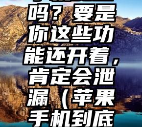 使用苹果手机安全吗？要是你这些功能还开着，肯定会泄漏（苹果手机到底安全吗可靠吗）