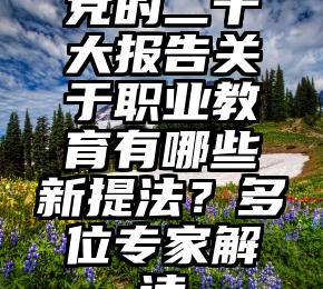 党的二十大报告关于职业教育有哪些新提法？多位专家解读