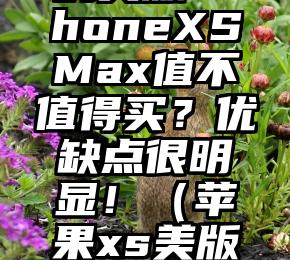 6000块的美版iPhoneXSMax值不值得买？优缺点很明显！（苹果xs美版512g多少钱）