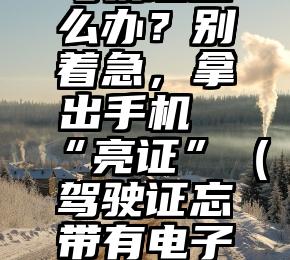 交警查验，忘带纸质驾驶证怎么办？别着急，拿出手机“亮证”（驾驶证忘带有电子驾驶证可以吗怎么办）