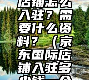 京东国际店铺怎么入驻？需要什么资料？（京东国际店铺入驻多少钱一个月）