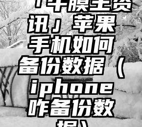 「牛膜王资讯」苹果手机如何备份数据（iphone咋备份数据）