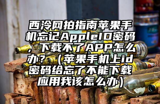 西泠网拍指南苹果手机忘记AppleID密码，下载不了APP怎么办？（苹果手机上id密码给忘了不能下载应用我该怎么办）