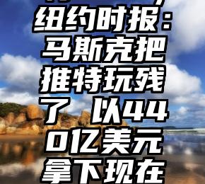 干货分享（马斯克推特shib）纽约时报：马斯克把推特玩残了 以440亿美元拿下现在仅剩下200亿美元市值，