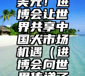 海外网评：735.2亿美元！进博会让世界共享中国大市场机遇（进博会向世界传递了什么信息和信息）