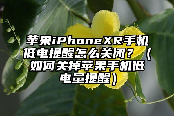 苹果iPhoneXR手机低电提醒怎么关闭？（如何关掉苹果手机低电量提醒）