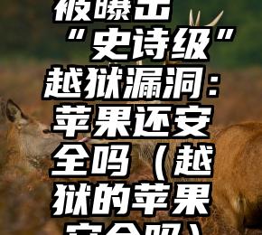 被曝出“史诗级”越狱漏洞：苹果还安全吗（越狱的苹果安全吗）