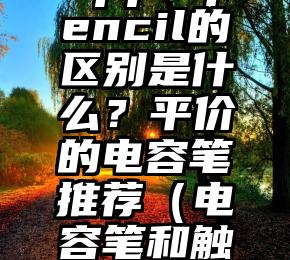 电容笔和Applepencil的区别是什么？平价的电容笔推荐（电容笔和触控笔的区别）