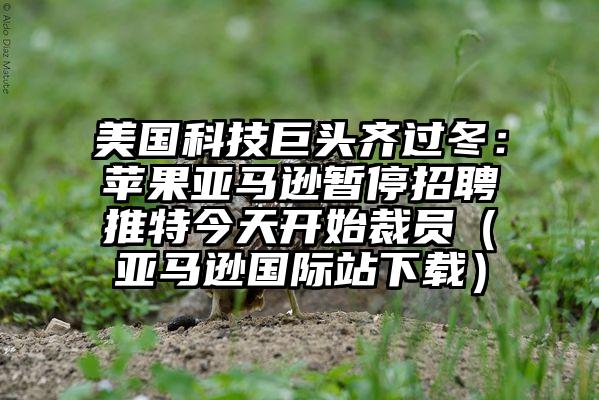 美国科技巨头齐过冬：苹果亚马逊暂停招聘推特今天开始裁员（亚马逊国际站下载）