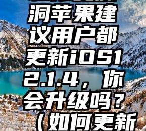 为了安全和修复漏洞苹果建议用户都更新iOS12.1.4，你会升级吗？（如何更新ios12.5.5）