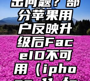 iOS16又出问题？部分苹果用户反映升级后FaceID不可用（iphone 11 face id）