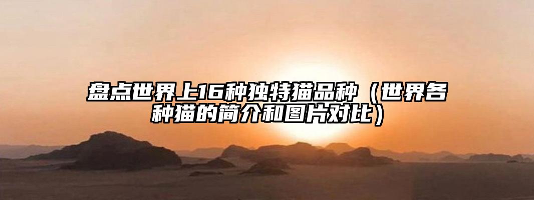 盘点世界上16种独特猫品种（世界各种猫的简介和图片对比）