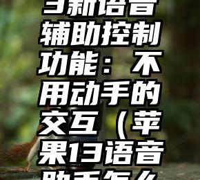 苹果iOS13新语音辅助控制功能：不用动手的交互（苹果13语音助手怎么设置）