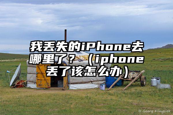 我丢失的iPhone去哪里了？（iphone丢了该怎么办）