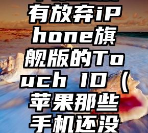 苹果还没有放弃iPhone旗舰版的Touch ID（苹果那些手机还没下架）