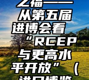 汇合作之力谋共享之福——从第五届进博会看“RCEP与更高水平开放”（进口博览会合作共赢）