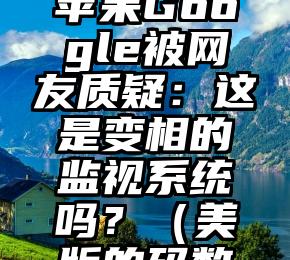 美版健康码要来了！苹果Google被网友质疑：这是变相的监视系统吗？（美版的码数和中国版一样么）