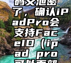 iOS12代码又泄密了，确认iPadPro会支持FaceID（ipad pro可以面部识别）