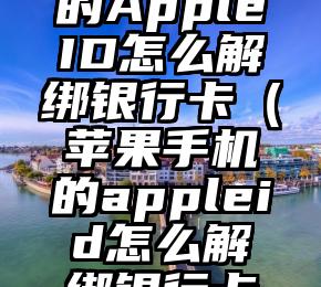 苹果手机的AppleID怎么解绑银行卡（苹果手机的appleid怎么解绑银行卡密码设置）