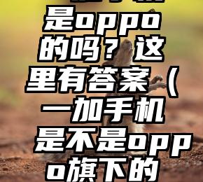 一加手机是oppo的吗？这里有答案（一加手机是不是oppo旗下的产品）