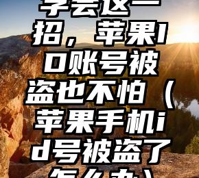 学会这一招，苹果ID账号被盗也不怕（苹果手机id号被盗了怎么办）