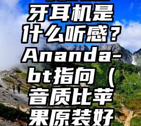 比iPhone贵的蓝牙耳机是什么听感？Ananda-bt指向（音质比苹果原装好的蓝牙耳机好吗）