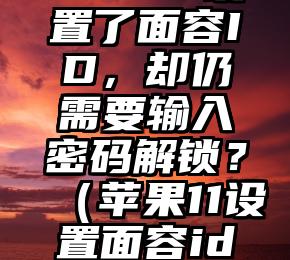 为什么iPhone11设置了面容ID，却仍需要输入密码解锁？（苹果11设置面容id一直低一点）