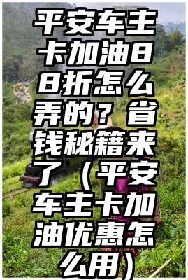 平安车主卡加油88折怎么弄的？省钱秘籍来了（平安车主卡加油优惠怎么用）